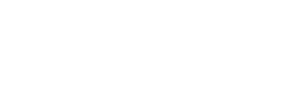 asset logo- white