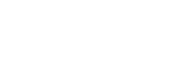 thunderbird logo- white